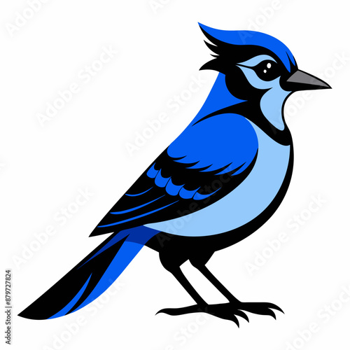 Black Blue Jay silhouette