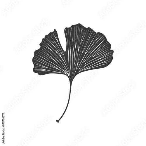 minimalist logo or symbol for ginko leaf black color only