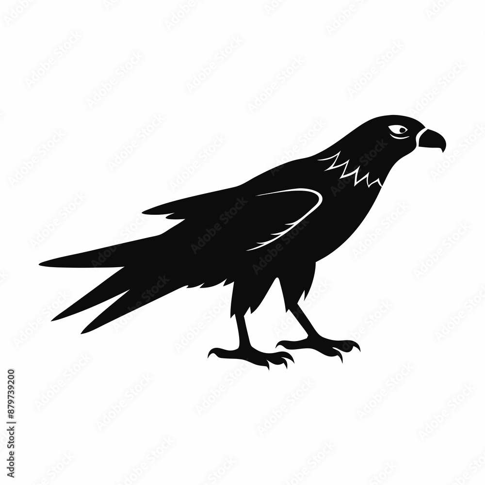 Obraz premium Harrier Black silhouette