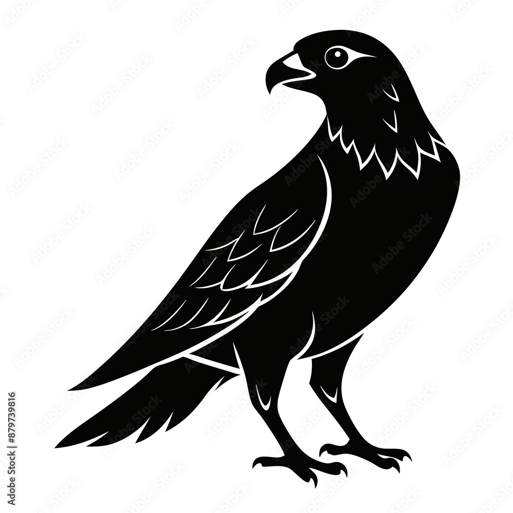 Harrier Black silhouette Harrier Black silhouette