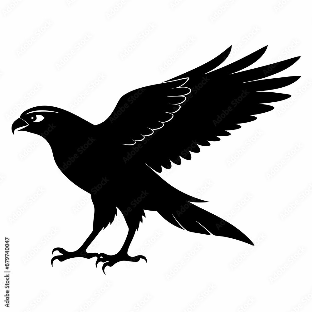 Obraz premium Harrier Black silhouette