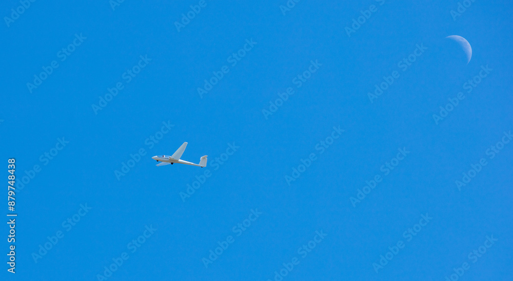 Fototapeta premium Glider plane seen against the blue sky.