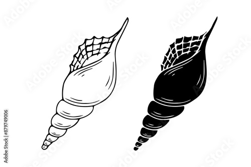 Line sketch, silhouette, seashell stamp. Vector graphics.