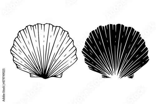 Line sketch, silhouette, seashell stamp. Vector graphics.