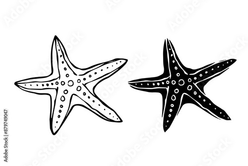 Linear sketch, silhouette, starfish stamp. Vector graphics.