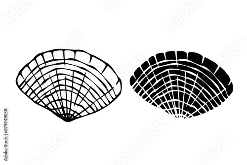Line sketch, silhouette, seashell stamp. Vector graphics.