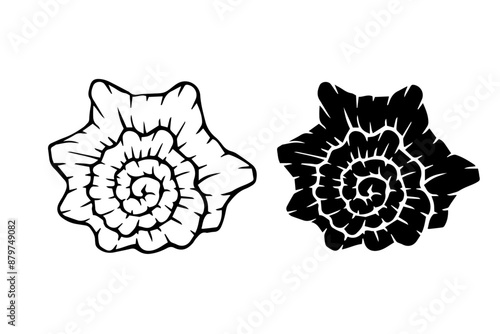Line sketch, silhouette, seashell stamp. Vector graphics.