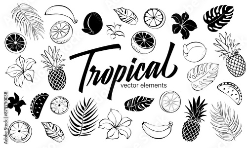 Tropical elements vector set, hand drawn collection tropical flowers, fruits and leaves. Black and white icons, line stickers, silhouette