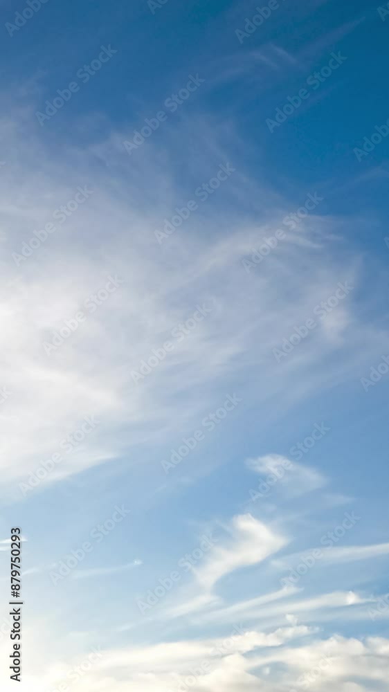 Light weightless spindrift clouds flying in the skies. Summer season azure skies from low angle view. Timelapse. Vertical video Light weightless spindrift clouds flying in the skies. Summer season azure skies from low angle view. Timelapse. Vertical video