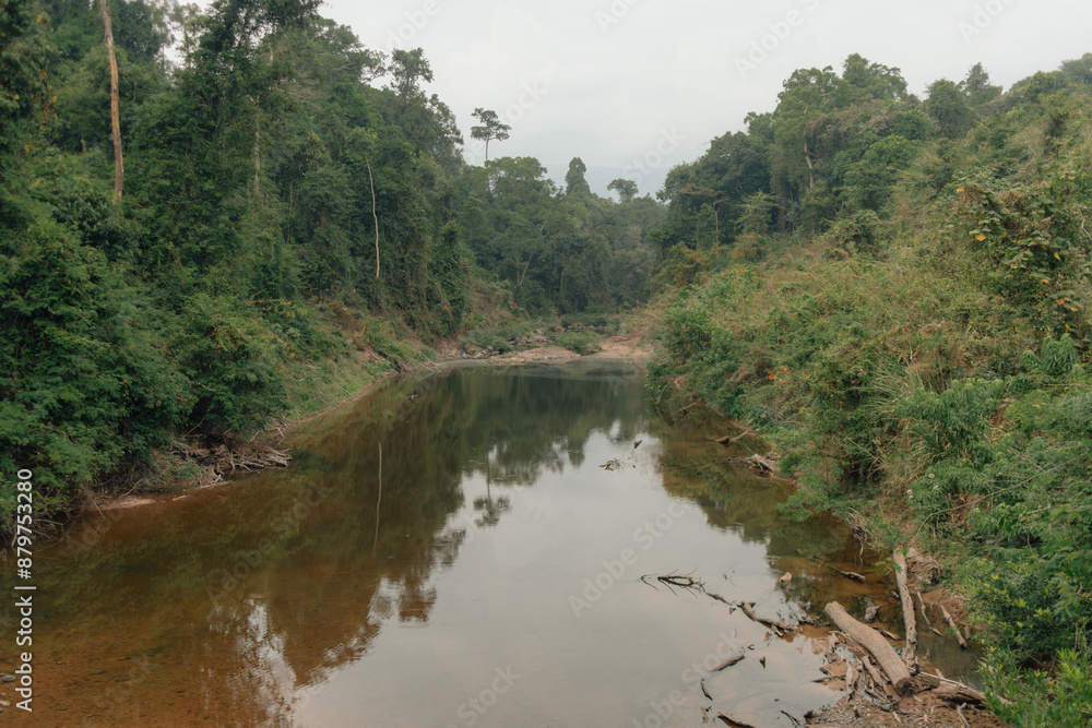 Natural river in the forest of Khao Yai national park in Thailand. Natural river in the forest of Khao Yai national park in Thailand.