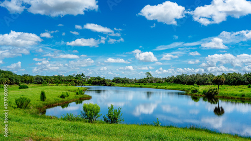 Fototapeta Naklejka Na Ścianę i Meble -  panoramic view of lake with meadow and forest. Clouds in blue sky