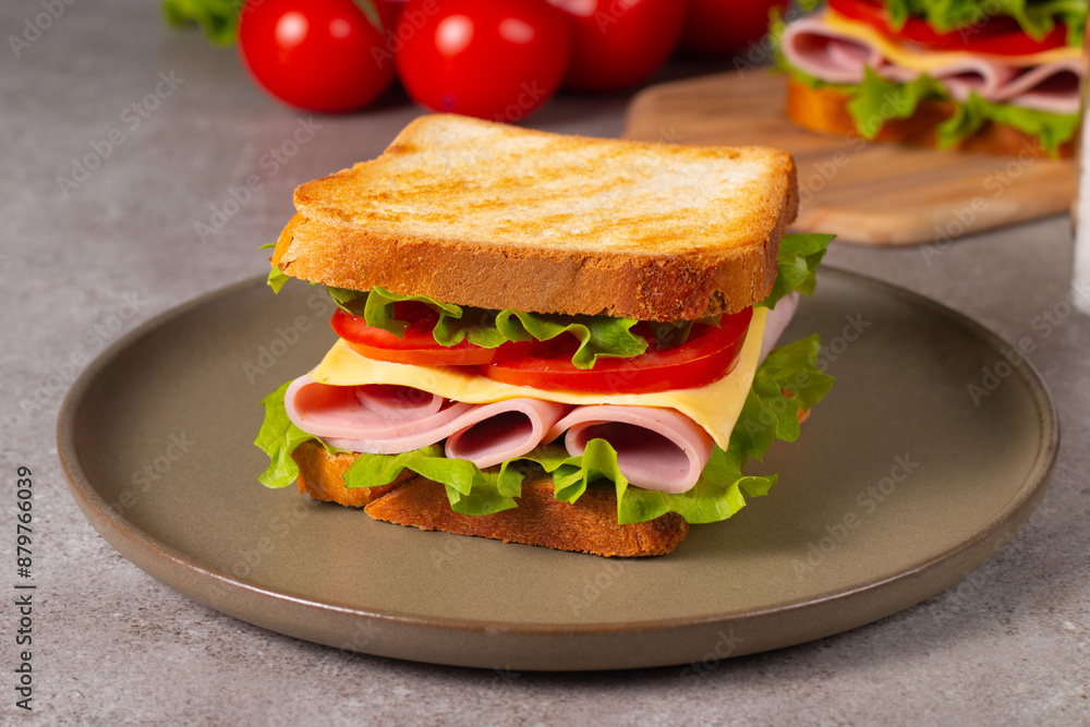 Close-up of two sandwiches with bacon, salami, prosciutto and fresh vegetables on rustic wooden cutting board. Club sandwich concept Close-up of two sandwiches with bacon, salami, prosciutto and fresh vegetables on rustic wooden cutting board. Club sandwich concept