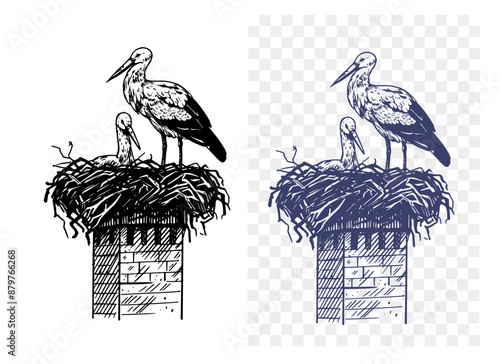 Two storks on a nest sketch, realistic bird, hand drawing, vector illustration, engraving style
