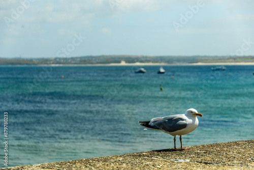 Ein entspannter Strandtag vor der Bucht von St Ives im wunderschönen Cornwall - Vereinigtes Königreich photo