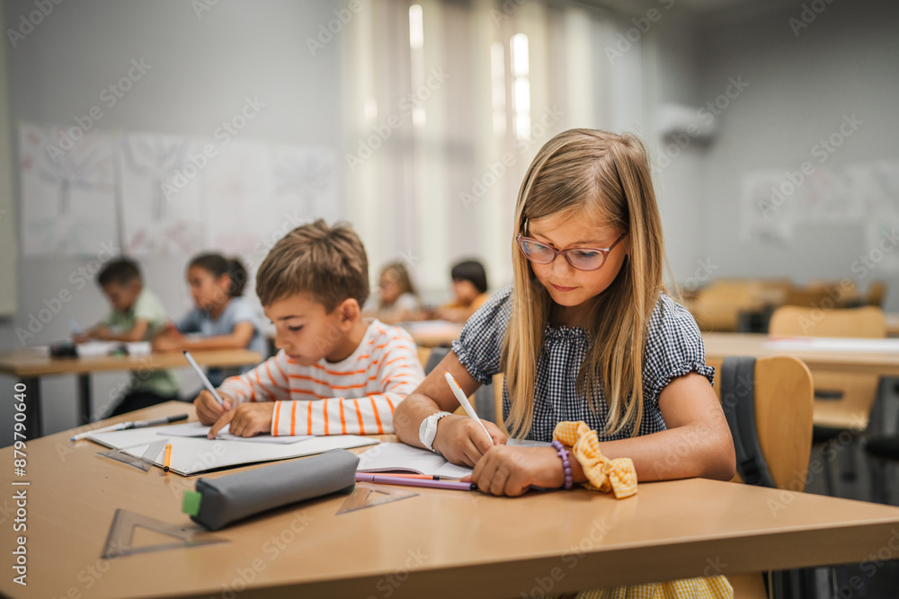 young student pupil write on notebook homework in the classroom young student pupil write on notebook homework in the classroom