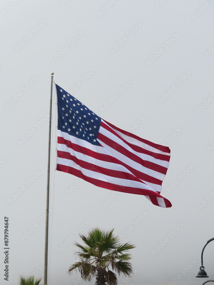 Obraz premium American Flag