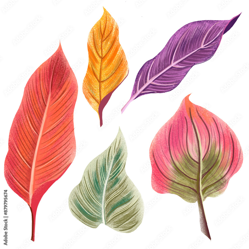 Photography Folhas, folhagem, ornamento, outono, planta,primavera, florir, desabrochar, elem