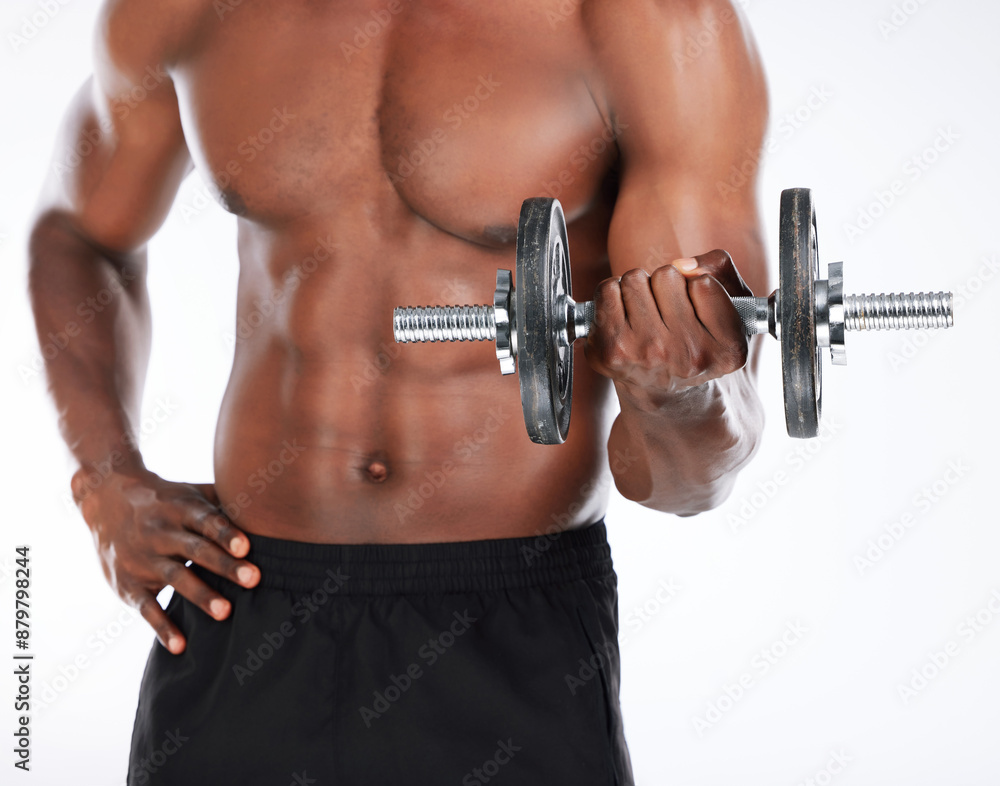 Black man, hands and weightlifting with dumbbell for fitness, workout or arm exercise in studio on a white background. Closeup of muscular African, male person or model with weight for bicep curl Black man, hands and weightlifting with dumbbell for fitness, workout or arm exercise in studio on a white background. Closeup of muscular African, male person or model with weight for bicep curl