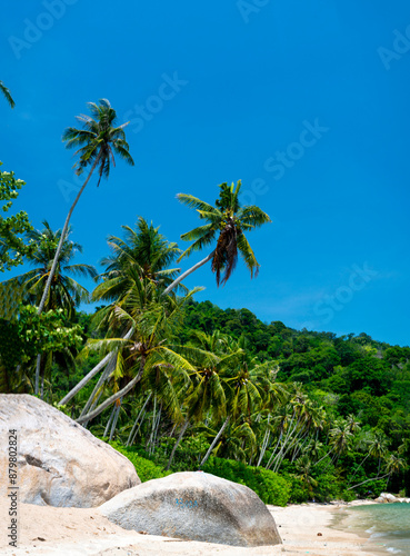 Pantai Esen beach,tranquil,unspoilt coastline,south of Penang Island,Malaysia. photo