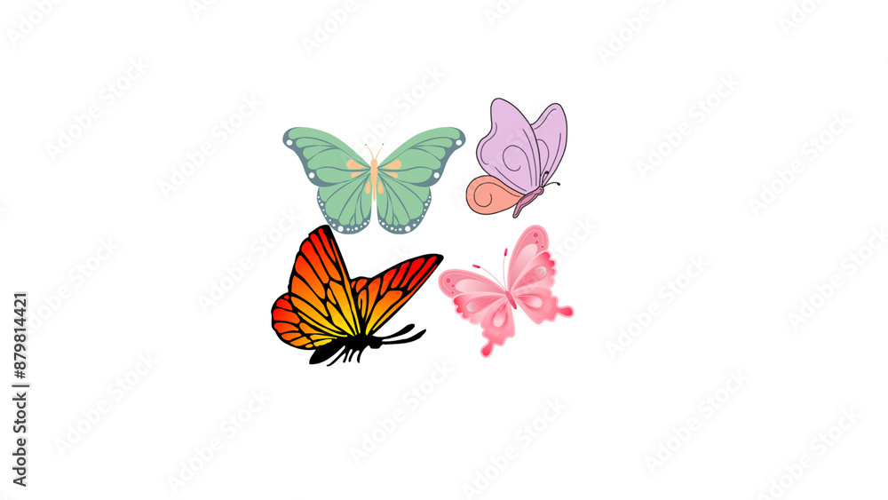 Fototapeta premium Beautiful Butterfly