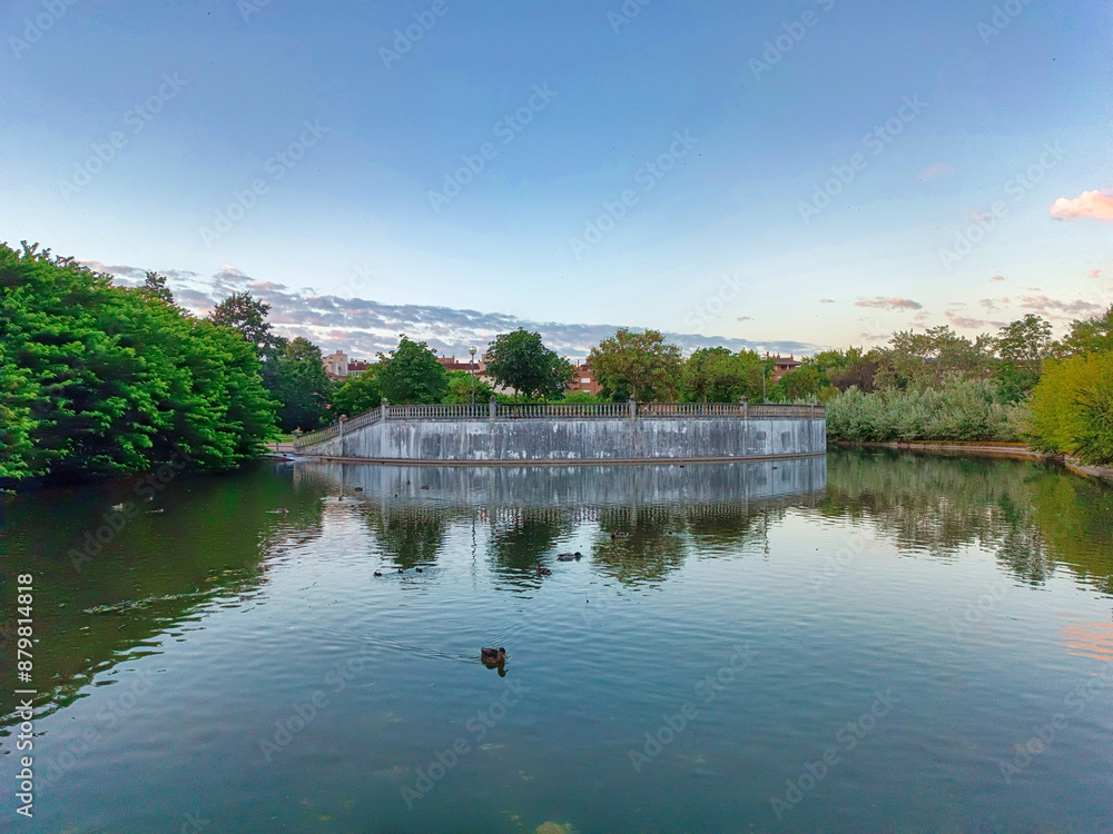 Fototapeta premium lake in the park