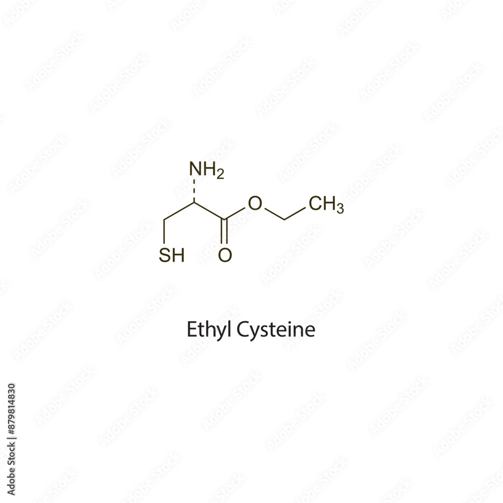 Ethyl Cysteine flat skeletal molecular structure Mucoactive agent drug used in cough treatment. Vector illustration scientific diagram. Ethyl Cysteine flat skeletal molecular structure Mucoactive agent drug used in cough treatment. Vector illustration scientific diagram.