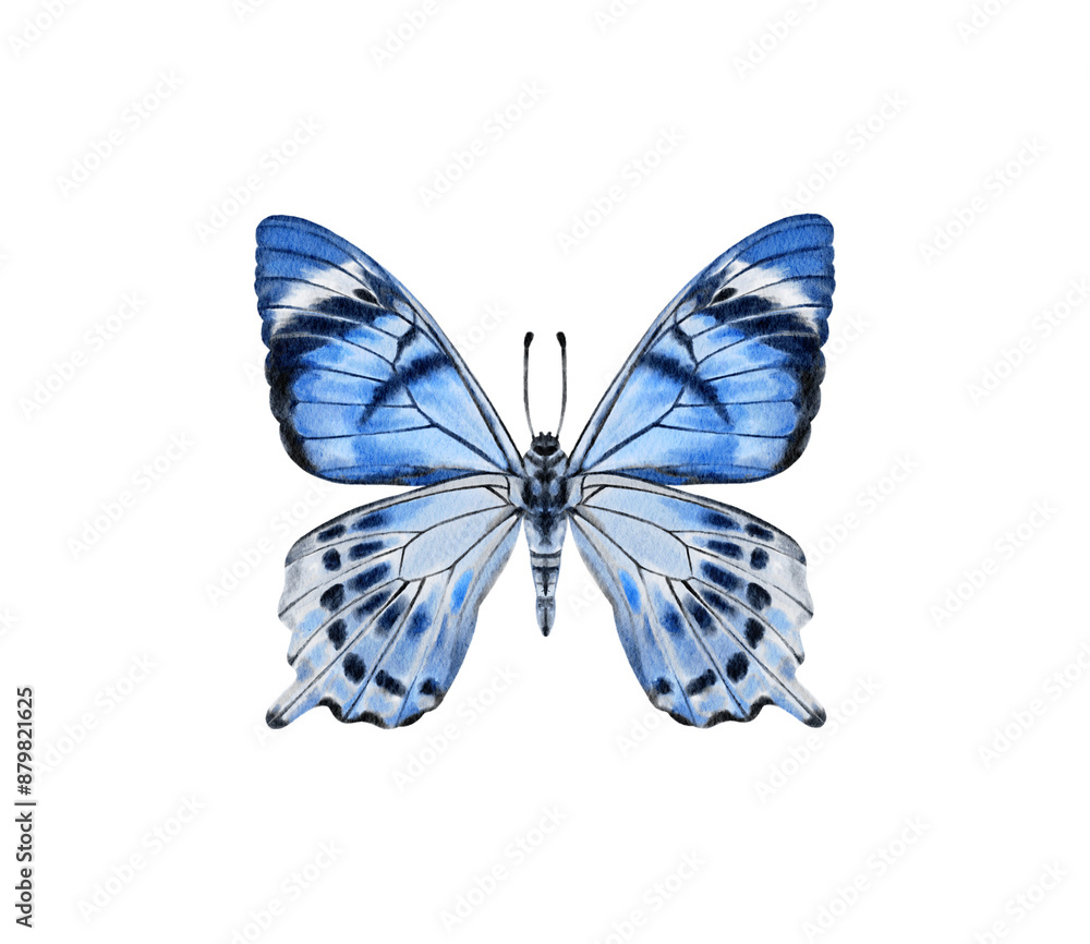 Fototapeta premium Watercolor colorful butterflies, isolated on white background. blue, yellow, pink and red butterfly spring