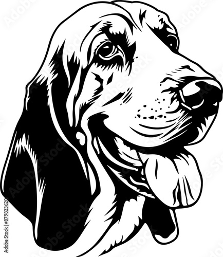 Basset Hound  | Dog Silhouette | Black SVG | High Detail |