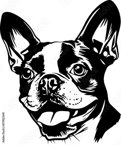 Boston Terrior,  | Dog Silhouette | Black SVG | High Detail |
