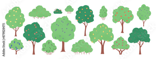 Garden fruit plants. Harvest time, trees and bushes with berries and fruits. Apple orange peach grape blackberry pomegranate, racy vector clipart
