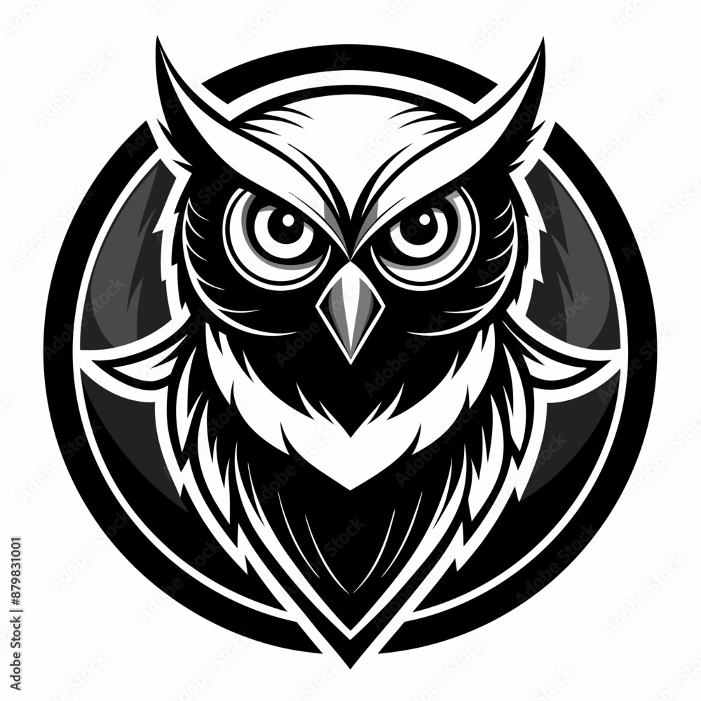 owl vector and illustration owl vector and illustration