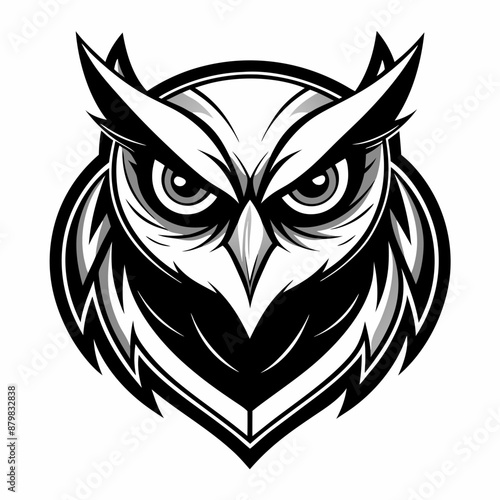 owl vector and illustration 