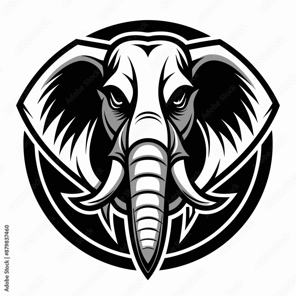 Fototapeta premium elephant vector and illustration
