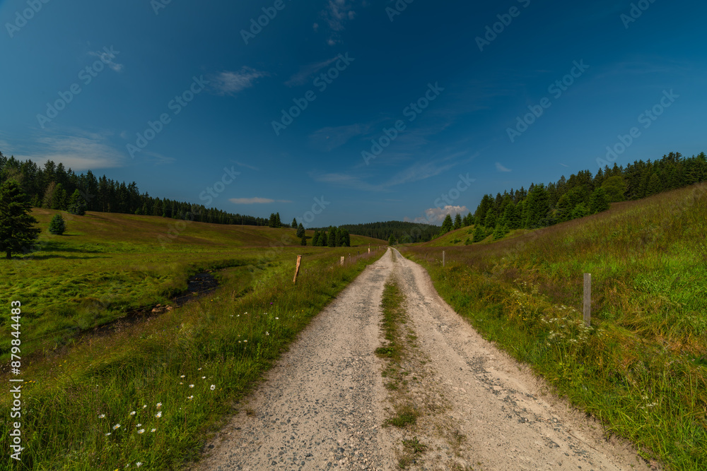 Fototapeta premium Rolava river with grass on bank in summer hot morning between green meadows