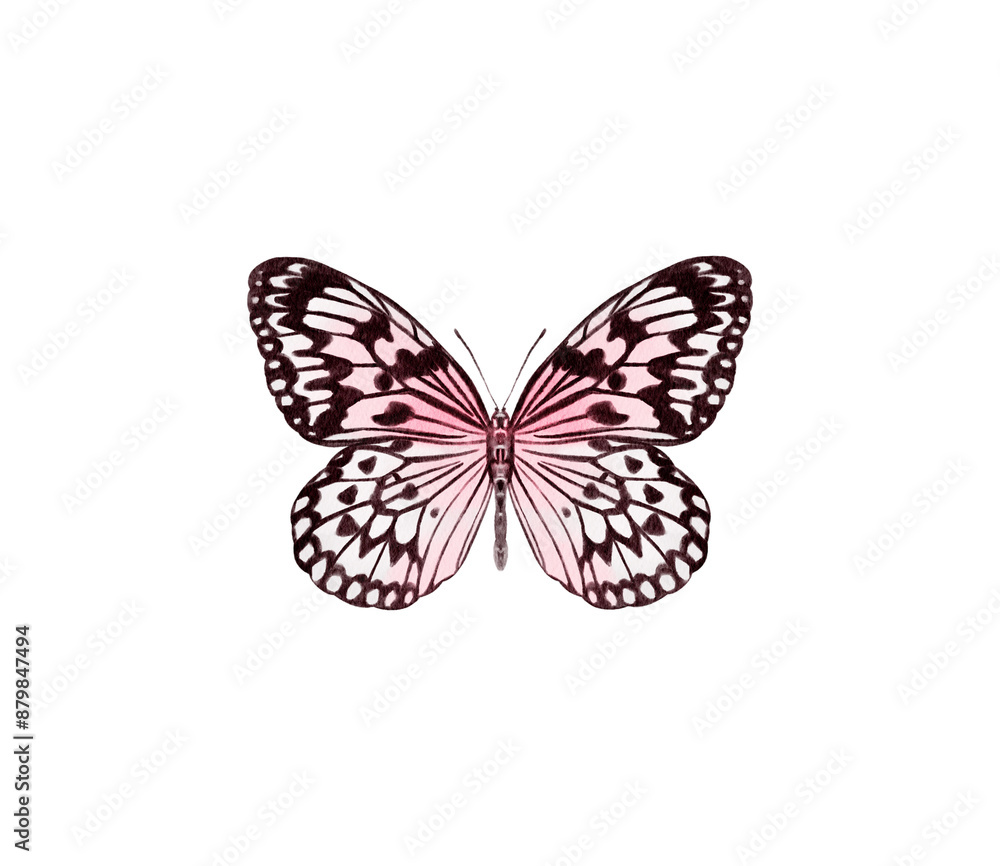Print Print