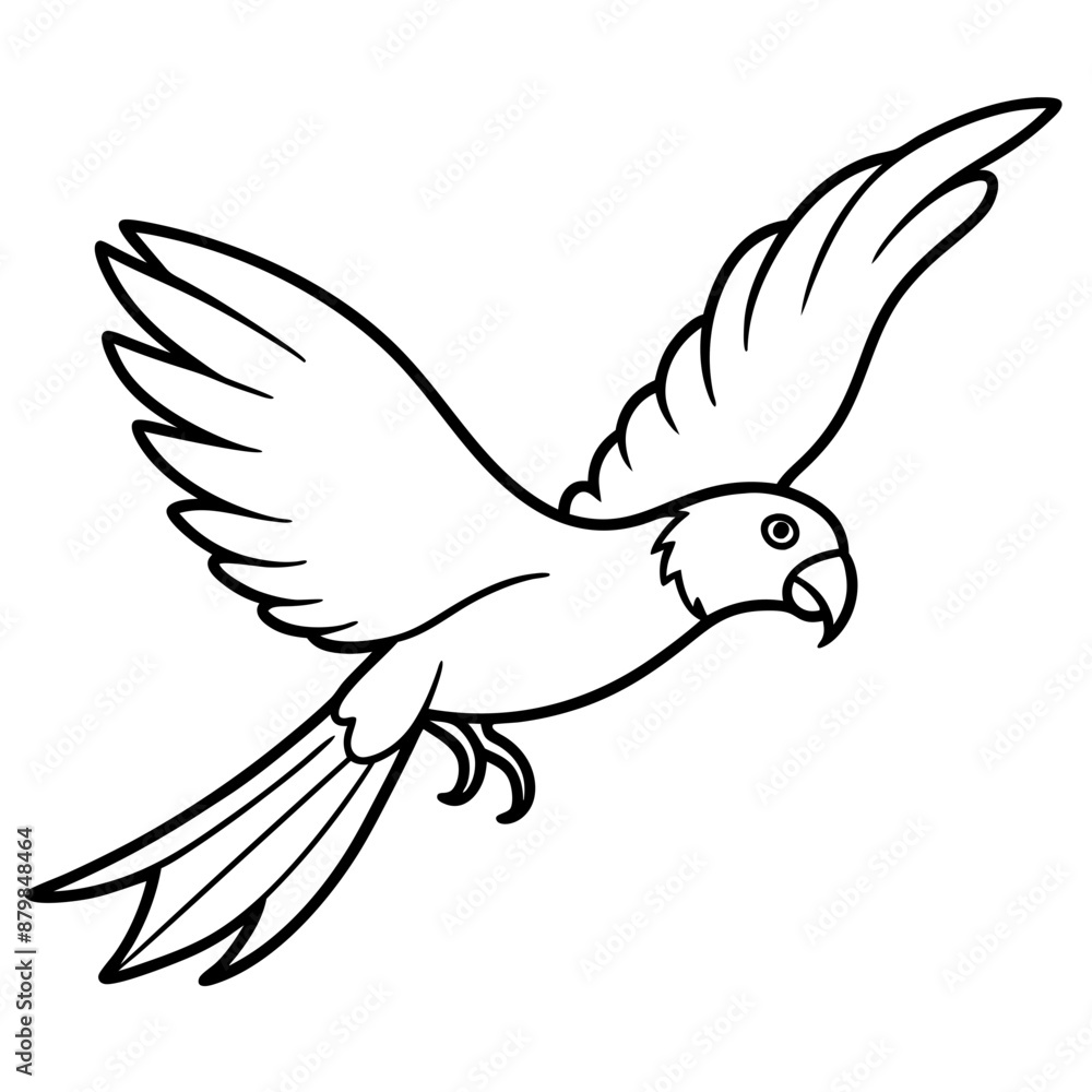 Fototapeta premium eclectus parrot bird flies icon vector