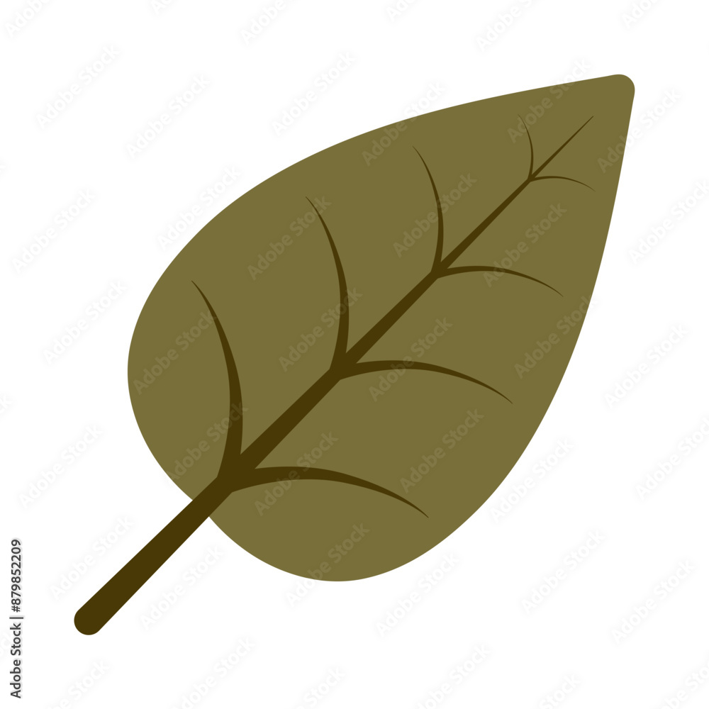 Cute autumn leaf of dark green color. Flat style illustration. Fall season decor for design. Vector clip art autumn leaf. Isolated on white background. Cute autumn leaf of dark green color. Flat style illustration. Fall season decor for design. Vector clip art autumn leaf. Isolated on white background.