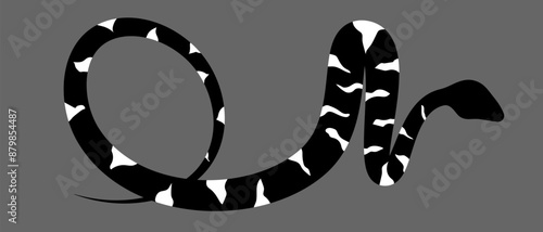 Black and white silhouette snake. Isolated symbol on grey background. Reptile vector illustration. Dangerous wildlife animals in garden. Black snake with white spots. Eps 10 clipart draw. 