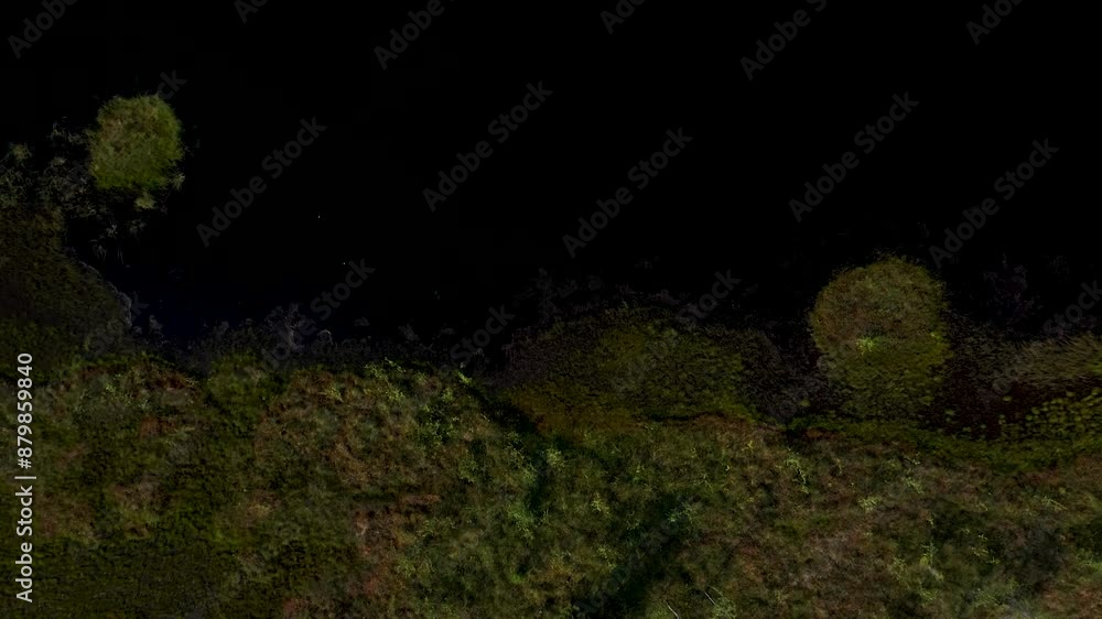 Aerial view of wetland with vegetation, water bodies, biodiversity, and conservation Aerial view of wetland with vegetation, water bodies, biodiversity, and conservation