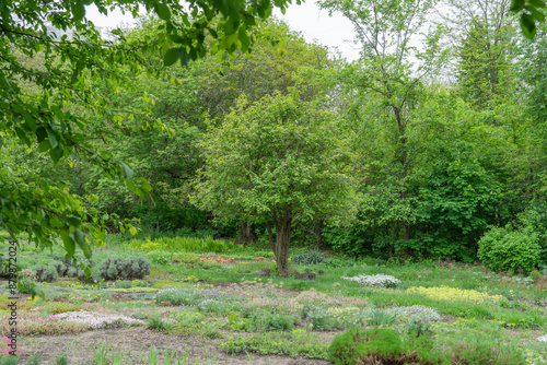 Garden beds with mixed flower seedlings in backyard. Plant seedling nursery in the botanical garden. Permaculture in city park and spring field work. Rows herbs throughout the summer. Horticulture.