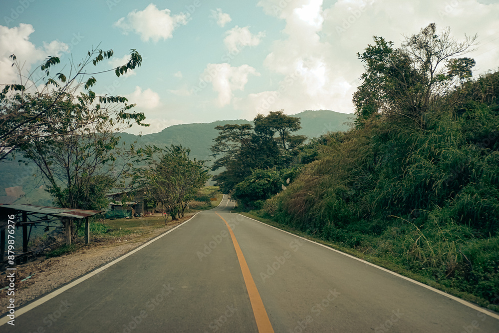 Fototapeta premium Scenic mountain road disappearing into the trees.