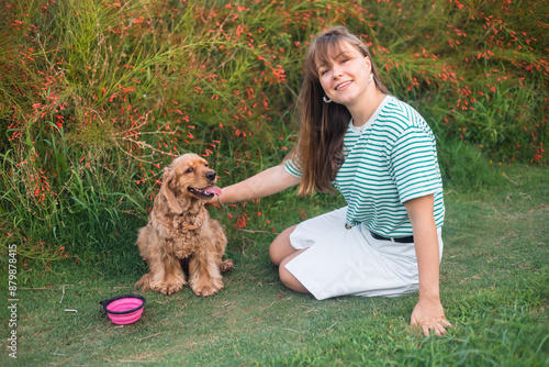 cocker Spaniel dog having fun and playing with young beautiful woman photo