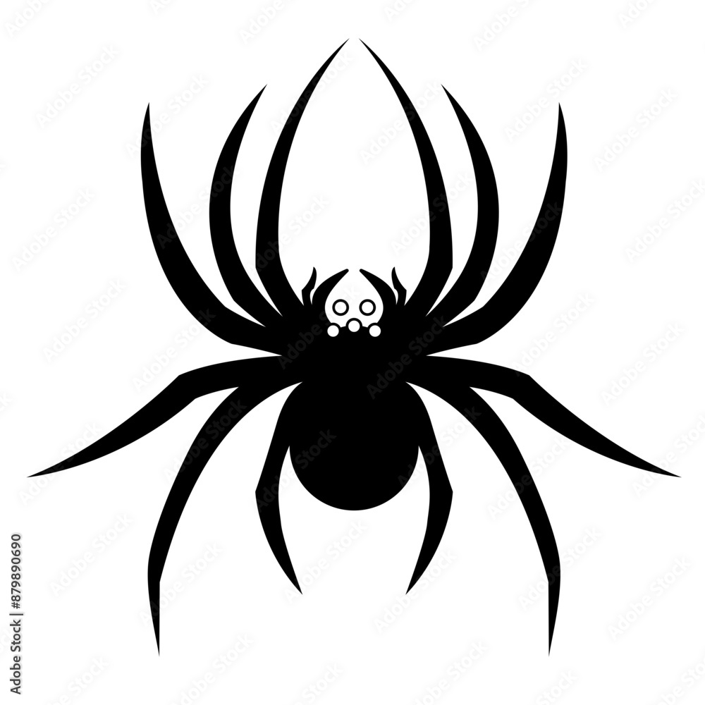 Black and white spider Black and white spider