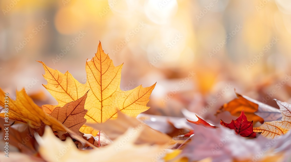 Close-up of colorful autumn leaves on the ground, showcasing the beauty of fall foliage with vibrant hues of orange, red, and yellow. Sunlit and serene. Close-up of colorful autumn leaves on the ground, showcasing the beauty of fall foliage with vibrant hues of orange, red, and yellow. Sunlit and serene.