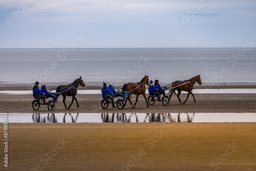 Trot attelé sur la plage de Cabourg photo