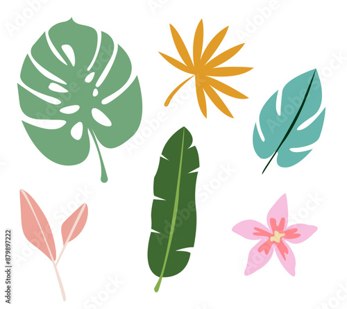 set of tropical leaves on white background