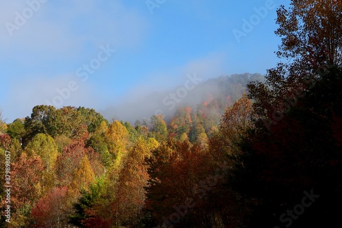 Fall trees in Smoky Mountain National Park