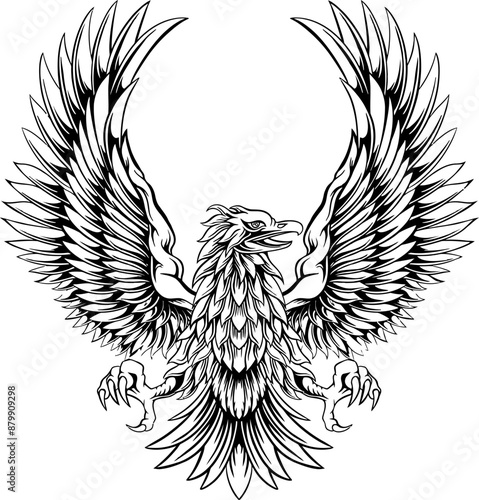 Eagle Line Art Illustration