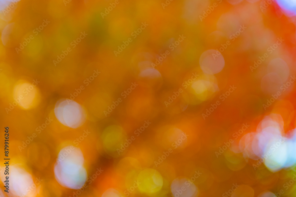 Obraz premium Unfocused colorful season. Bokeh autumn leaves. Fall blurred background orange color. Fall nature. Blurred bokeh background. Autumn defocused nature. Blur backdrop of autumn leaves. Smooth blur