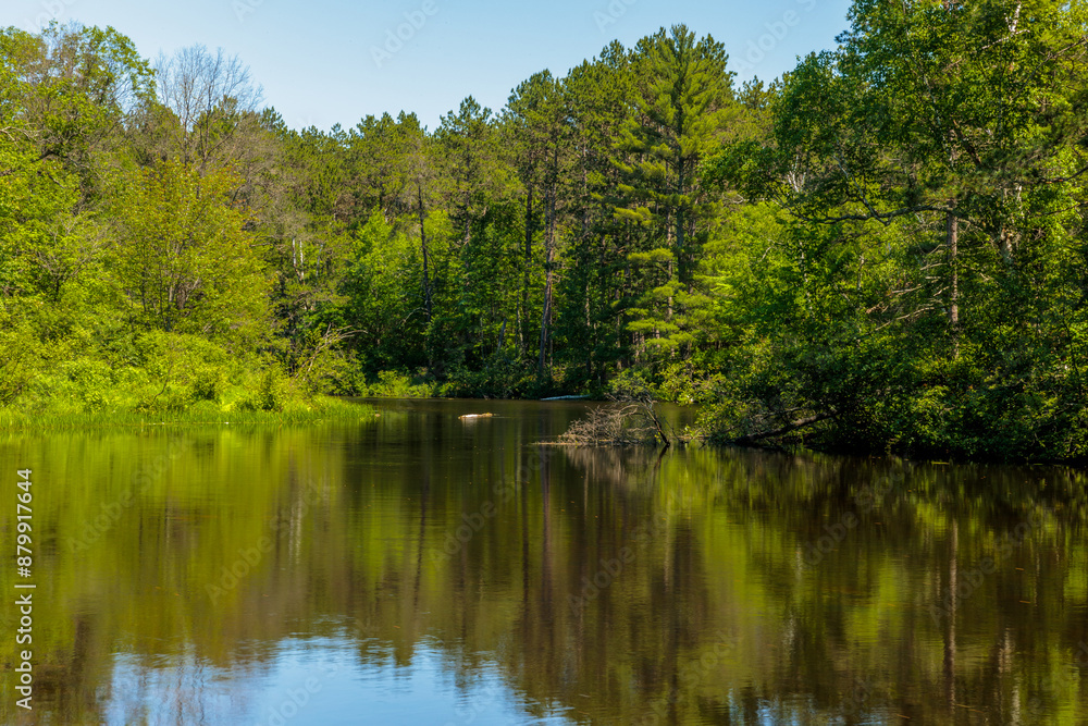 Under a blue sky, the Manitowish Rier with the shoreline reflections of the forested shoreline in late June nerar Boulder Junction, Wisconsin Under a blue sky, the Manitowish Rier with the shoreline reflections of the forested shoreline in late June nerar Boulder Junction, Wisconsin